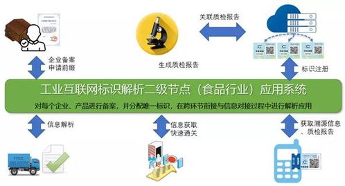 工業(yè)互聯(lián)網(wǎng)標識解析 數(shù)字時代的“域名”與“網(wǎng)站設計”
